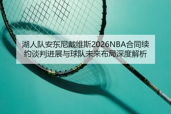 湖人队安东尼戴维斯2026NBA合同续约谈判进展与球队未来布局深度解析