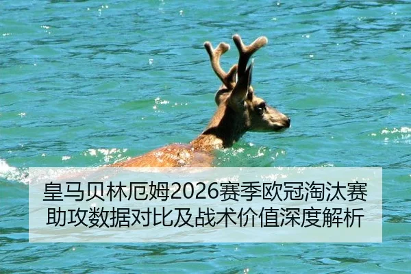 皇马贝林厄姆2026赛季欧冠淘汰赛助攻数据对比及战术价值深度解析